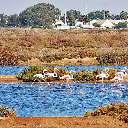 Casa Dos Ninos Alojamento de Acomodação e Pequeno-almoço São Bartolomeu de Messines