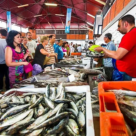 Alojamento de Acomodação e Pequeno-almoço Casa Dos Ninos