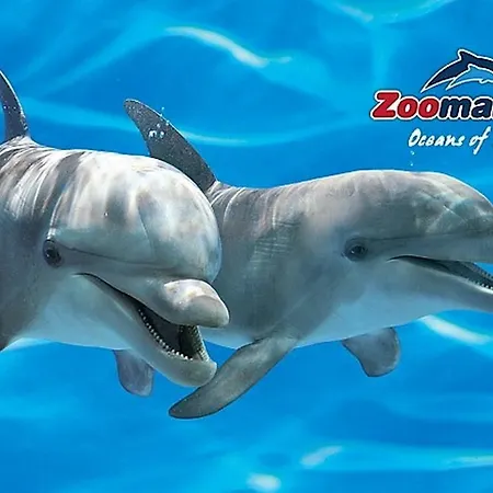 Casa Dos Ninos Panzió São Bartolomeu de Messines